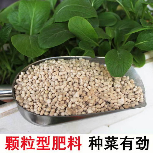 有机肥 蔬菜花卉果树的自然滋养精华