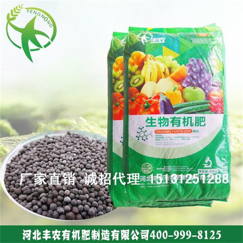 丰农有机肥 打造河北蔬菜绿色种植的基石